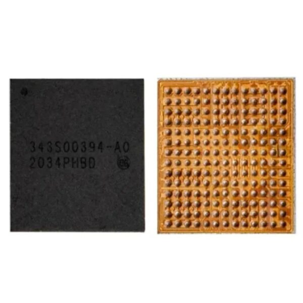343S00394 ORG IC