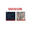SM3010B ORG IC