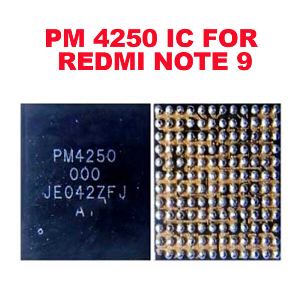 PM4250 ORG IC