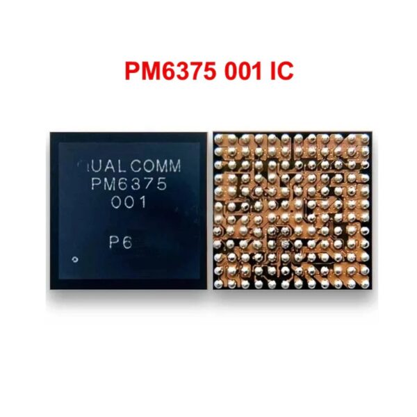 PM6375-001 ORG IC