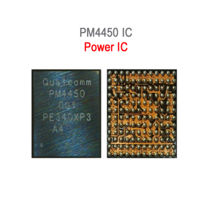 PM4450 IC